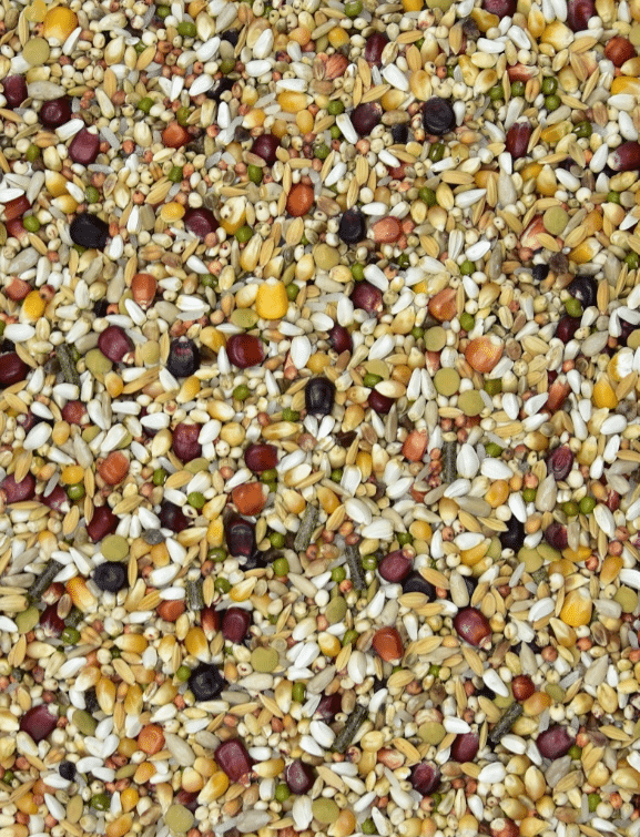 Widowsi PERSONAL MIX 2 SUUREPÄRANE võidusõidu segu 1 Widowsi PERSONAL MIX 2 SUUREPÄRANE võidusõidu segu