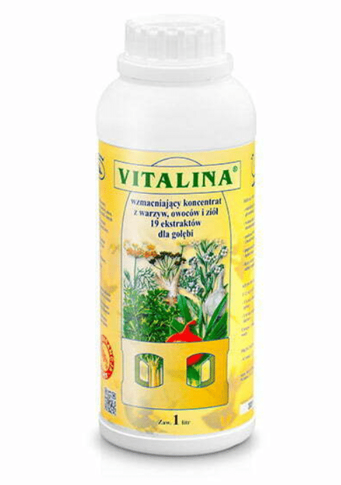 VITALINA 1 VITALINA