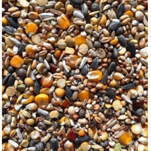 MDM O - MIX