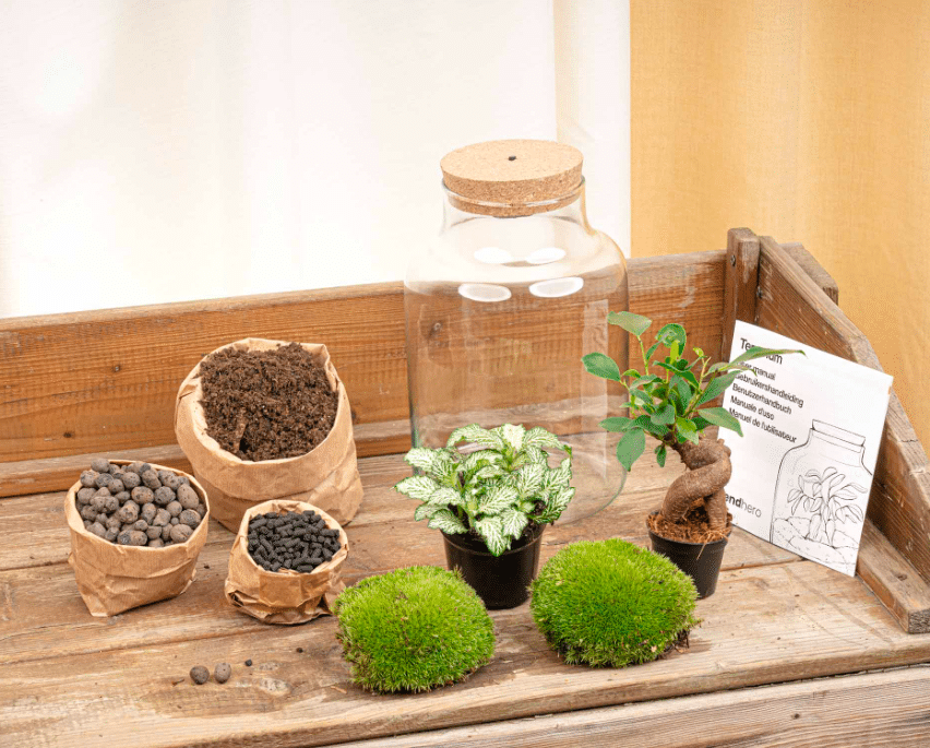 Terrarium Little Milky Bonsai Led valgusti 25 cm 2 Terrarium Little Milky Bonsai Led valgusti 25 cm - Pilt 2