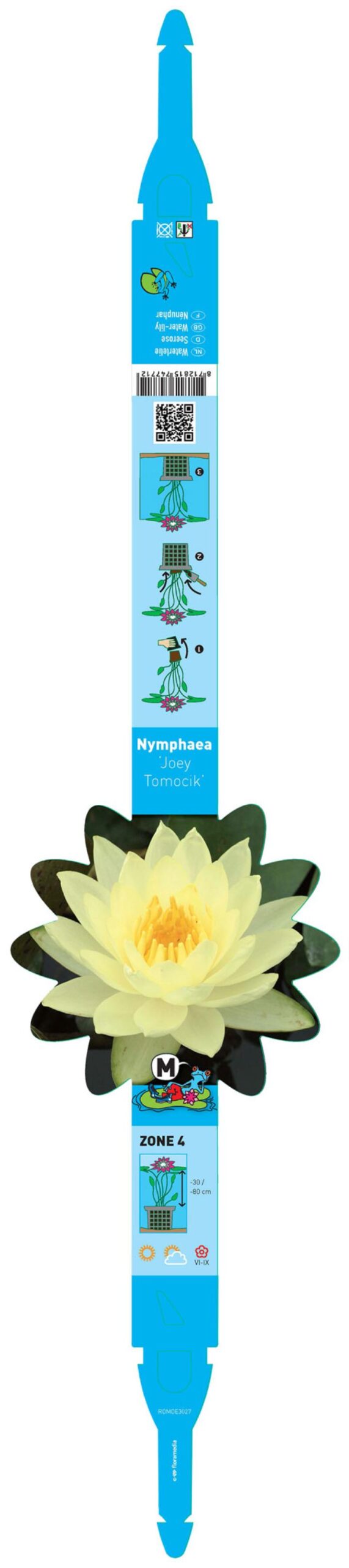 Nymphaea Yoey Tomocik 2 Nymphaea Yoey Tomocik - Pilt 2