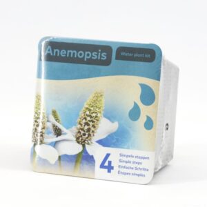 Anemopsis kuivpakend