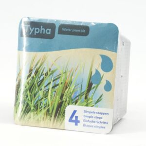 Typha kuivpakend
