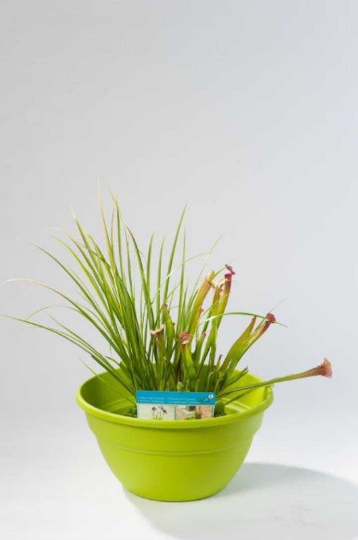 Terrassi tiik 40 cm laim koos segukorviga 1 Terrassi tiik 40 cm laim koos segukorviga