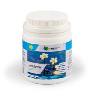 Moerings Mineral Power á 20 tab