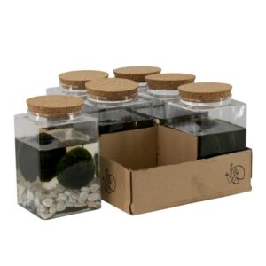 Marimo x ristkülikukujuline H12 cm läbimõõt 18 cm