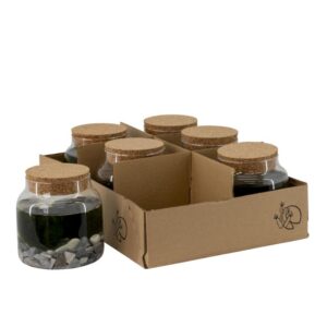 Marimo x piimaklaas H12 cm läbimõõt 12 cm