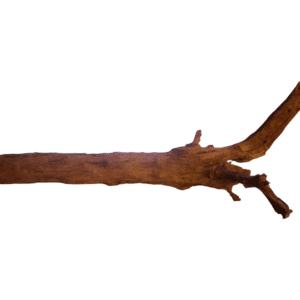 Mangrove XL 100cm