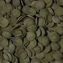Tropical Green Algae Wafers kalatoit 45g / 100ml 2 Tropical Green Algae Wafers kalatoit 45g / 100ml - Pilt 2