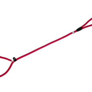Freedog punane kaelarihm-jalutusrihm koerale 10mm x120cm