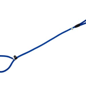 Freedog sinine kaelarihm-jalutusrihm koerale 13mm x 120cm