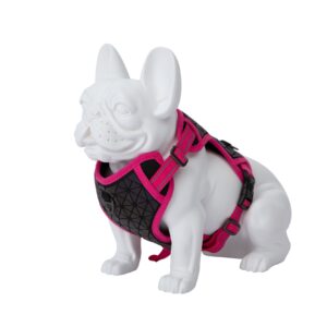 Freedog Boreal fuksiaroosad traksid koerale 15mm 34-63cm
