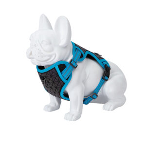 Freedog Boreal kaprisinised traksid koerale 15mm 34-63cm