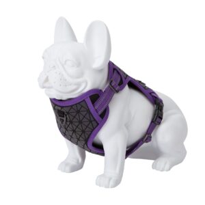 Freedog Boreal sirelilillad traksid koerale 25mm 45-90cm