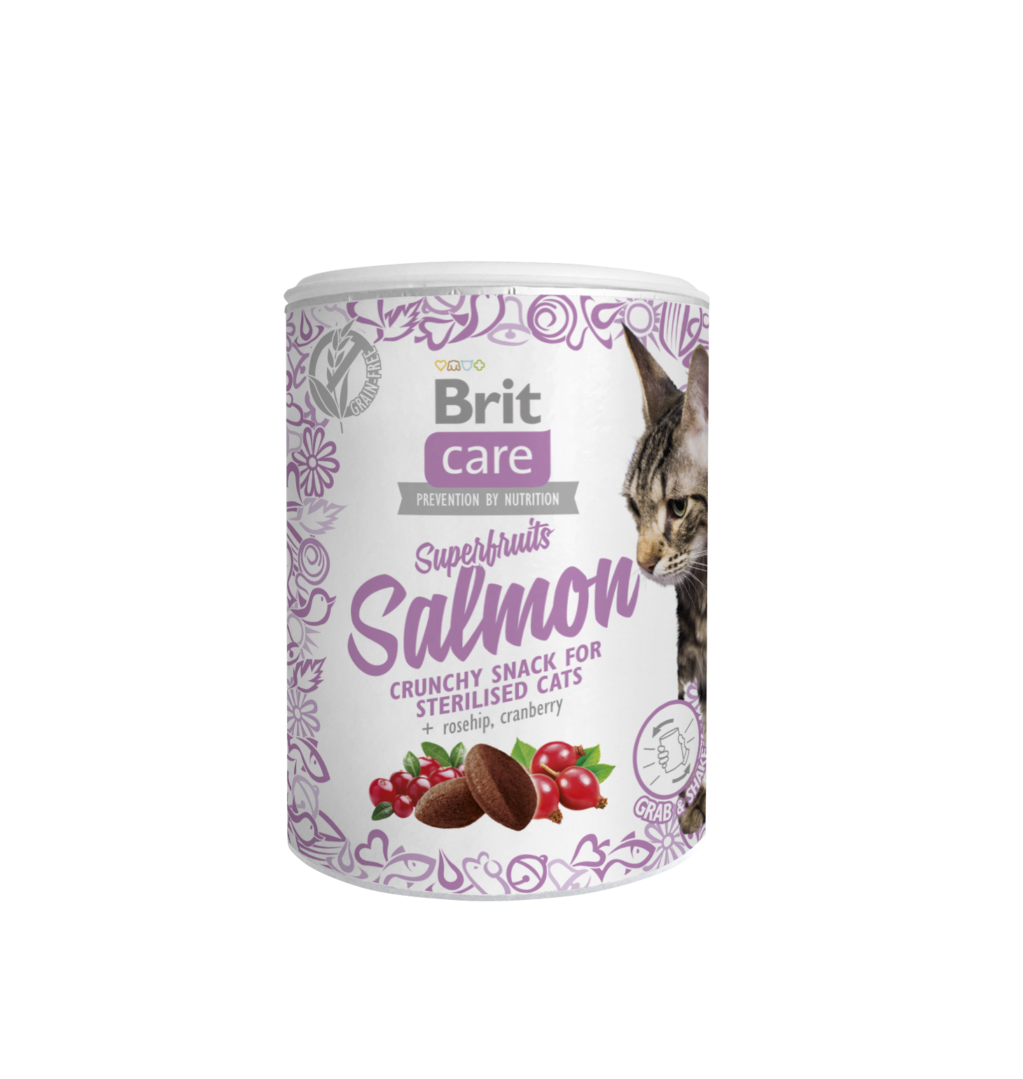 Brit Care SuperFruits Salmon kassimaius lõhega 100g 1 Brit Care SuperFruits Salmon kassimaius lõhega 100g