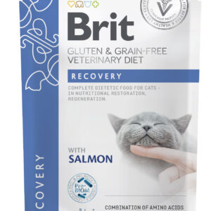 Brit Veterinary Diet Recovery mÀrgtoit kassidele 85g