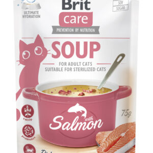 Brit Care Soup with Salmon lõhesupp kassidele 75g