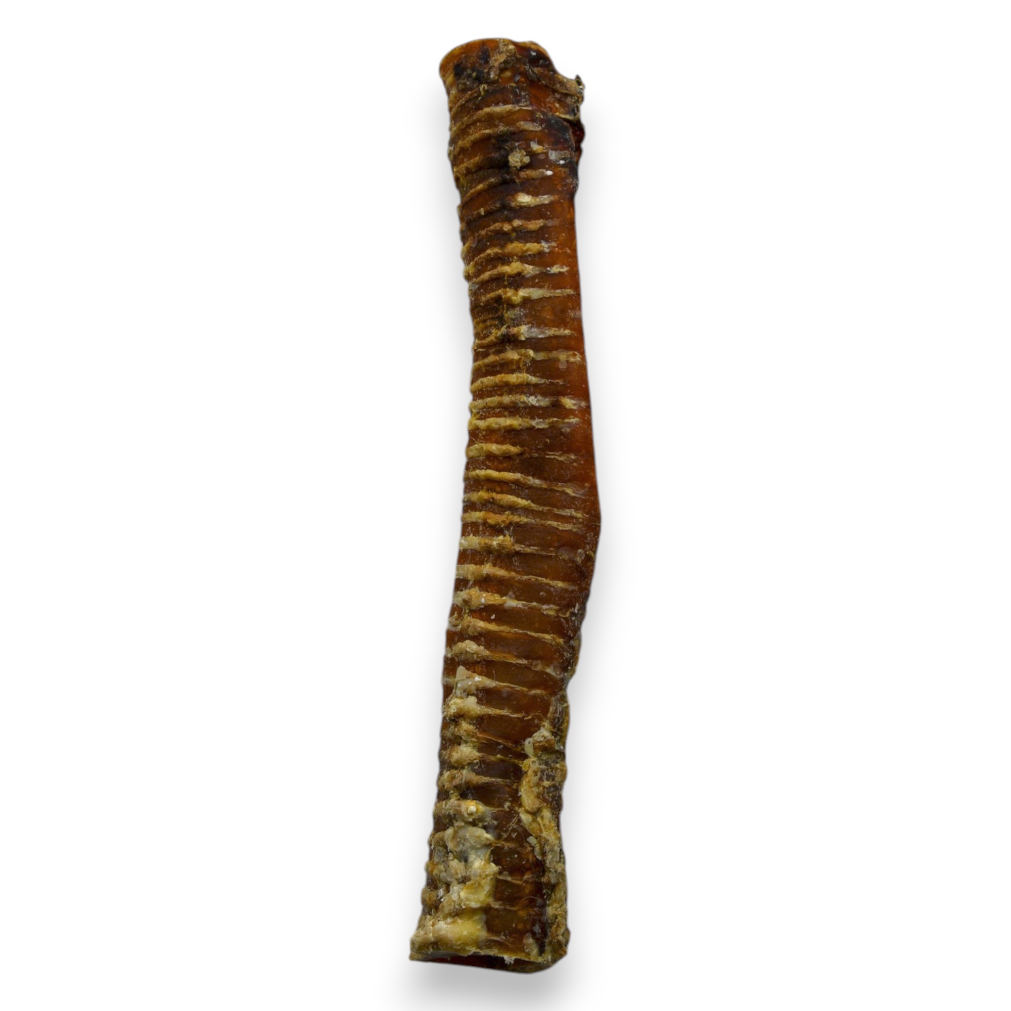 Koerustükk kuivatatud veise hingetoru koerale 40cm 1tk (lahtine) 1 Koerustükk kuivatatud veise hingetoru koerale 40cm 1tk (lahtine)