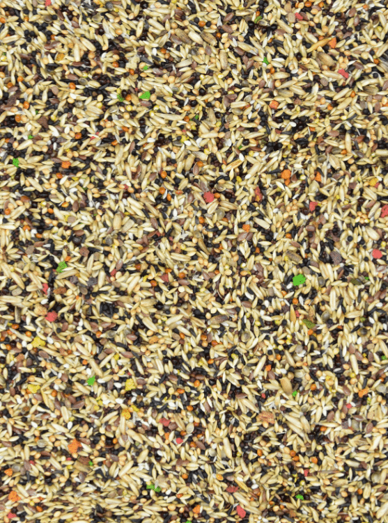 MDM Exotic Mini Complete Vita-Organic 10 kg 2 MDM Exotic Mini Complete Vita-Organic 10 kg