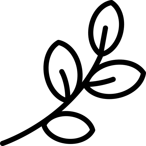 branch